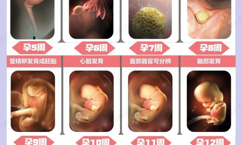 中药 肠炎宁网 - 网站提供中药肠炎宁方剂的不良反应有哪些小常识、中药肠炎宁胶囊